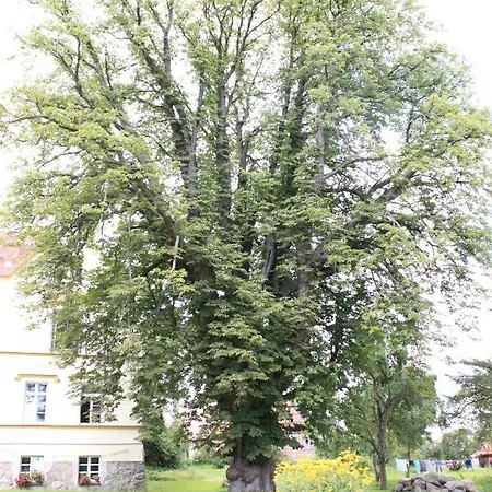 Schloss - Prebberede * Lelkendorf